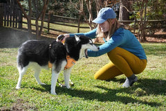 Permethrin for Dogs