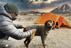 Permethrin for Dogs
